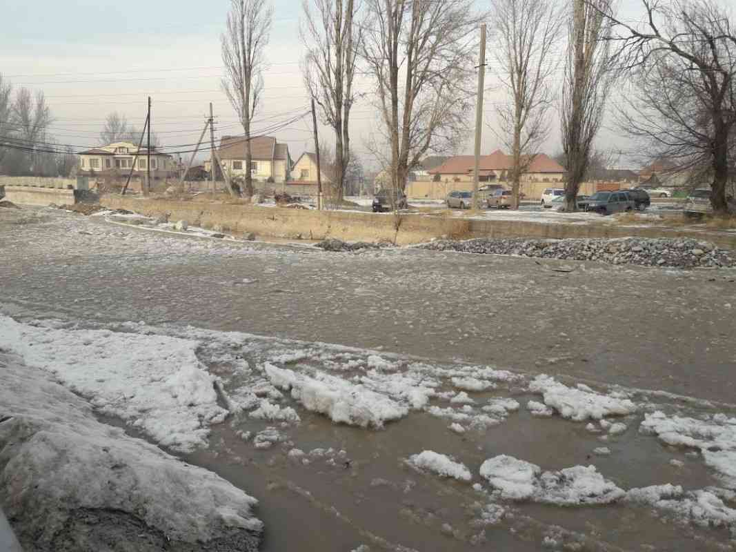 Уровень воды в реке алей. Киргизов затопило. Река ала Арча в Бишкеке высохла. Река в Бишкеке фото. Водохранилище нижняя ала-Арча затоплены деревья.